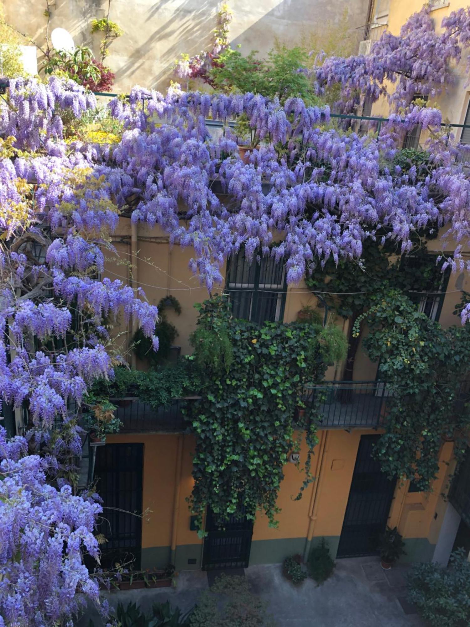 Apartament La Casa Degli Angeli Turyn Zewnętrze zdjęcie