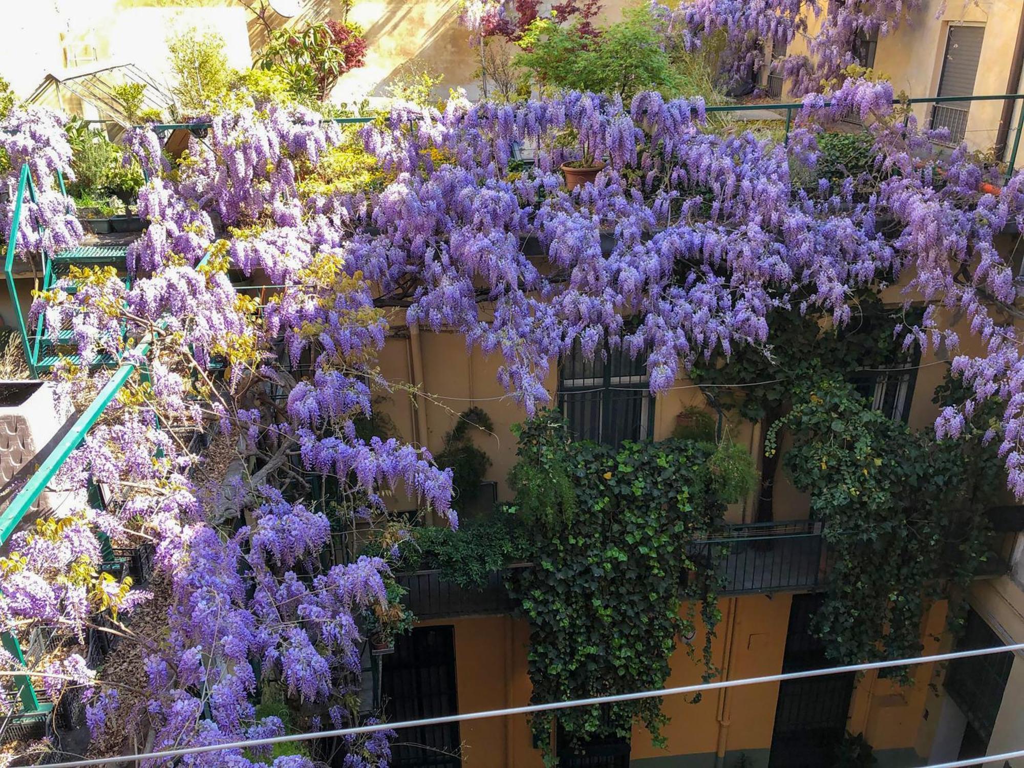 Apartament La Casa Degli Angeli Turyn Zewnętrze zdjęcie